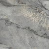 elegant-grey-poler-2cm
