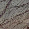 forest-green-poler-30,5x61x1cm
