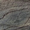 forest-green-poler-30,5x61x1cm