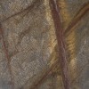 forest-brown-poler-30,5x61x1cm