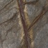 forest-brown-poler-30,5x61x1cm