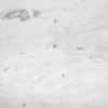 carrara-bianco-c-poler-61x305x1cm (2).jpg